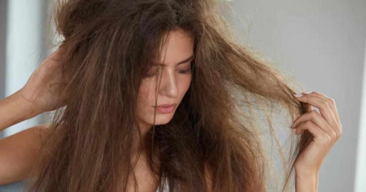 How To Repair Damaged Hair Naturally At Home And The Salon